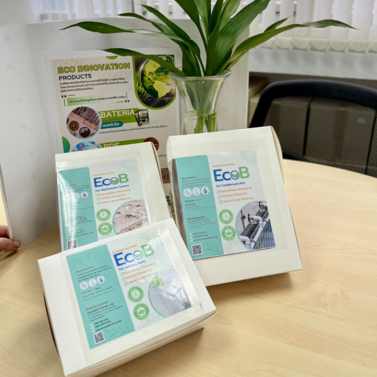 EcoB (3)