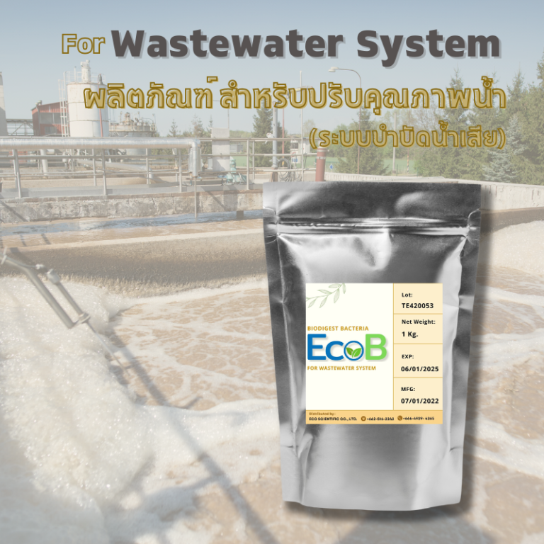 EcoB WWT